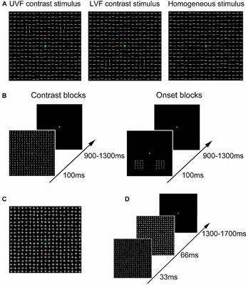 Automatic Detection of Orientation Contrast Occurs at Early but Not Earliest Stages of Visual Cortical Processing in Humans